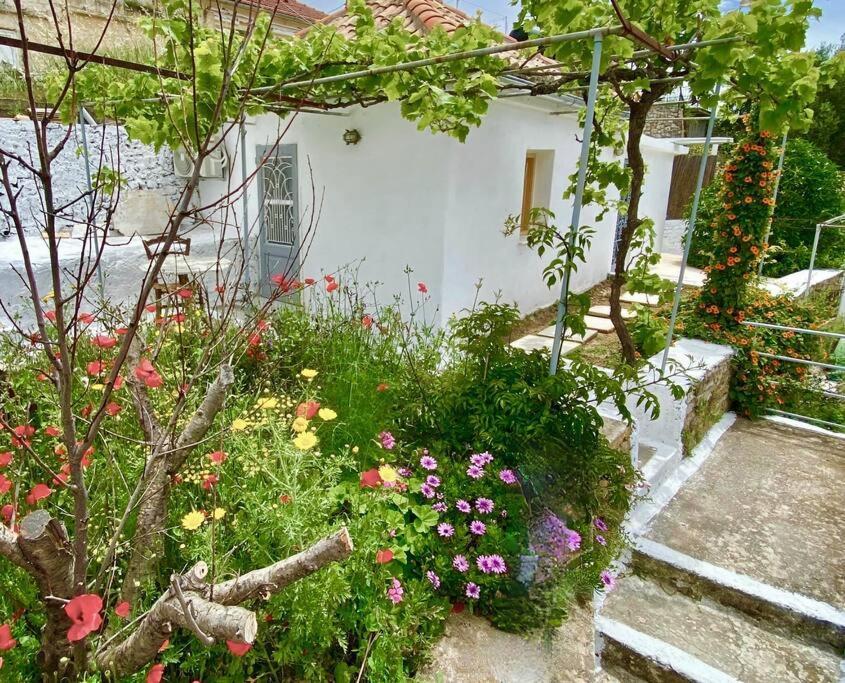 Stylish Vathy Studio With Sea View Esterno foto